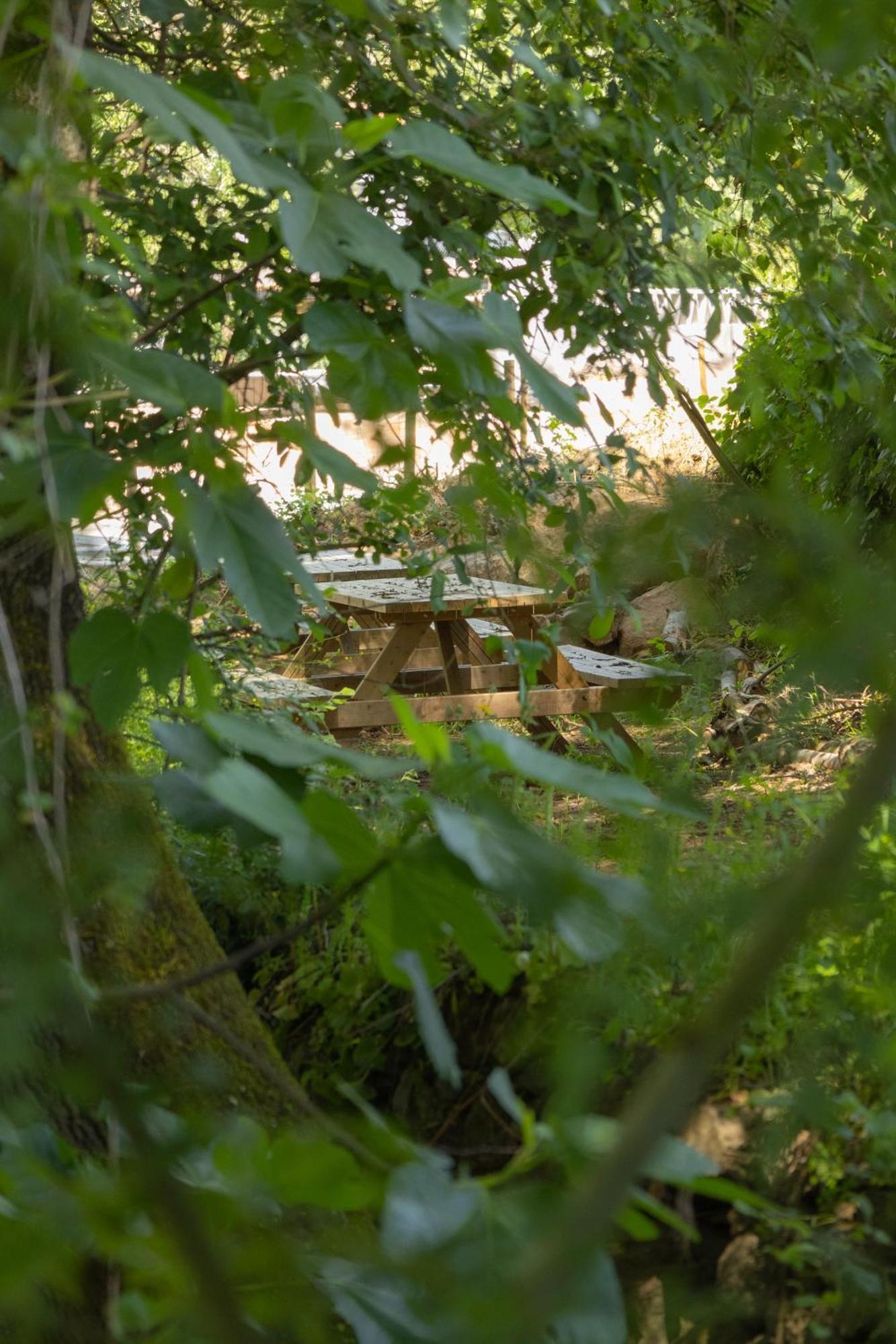 Hotel Gandum Village - Conscious Boutique Montemor-o-Novo